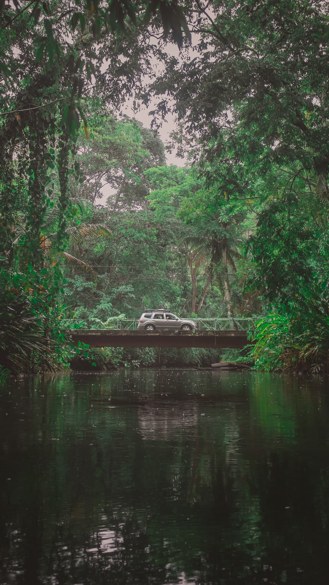 Guana — ride together